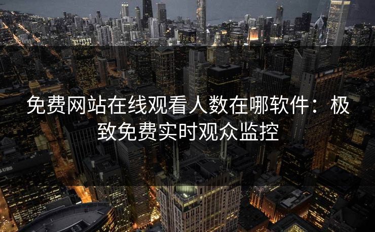 免费网站在线观看人数在哪软件：极致免费实时观众监控