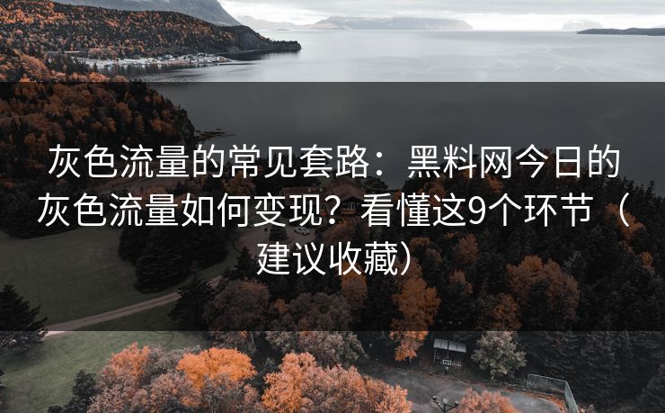 灰色流量的常见套路：黑料网今日的灰色流量如何变现？看懂这9个环节（建议收藏）