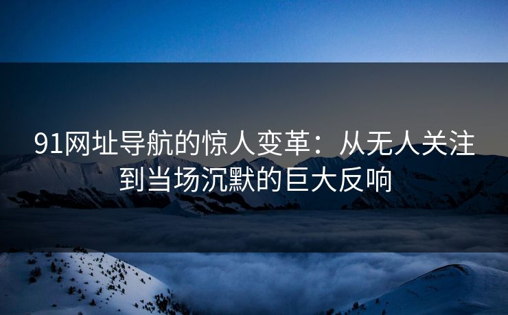 91网址导航的惊人变革：从无人关注到当场沉默的巨大反响